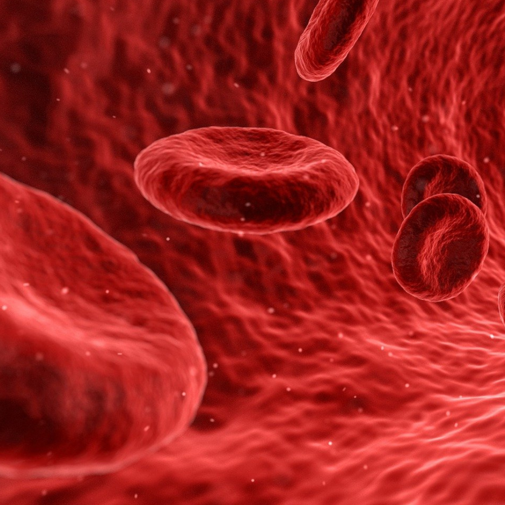 Cassette de determinación de grupos ABO-Rh/Inverso - Diagnostika